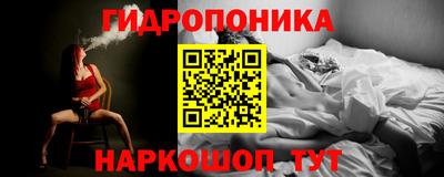 спиды Гай