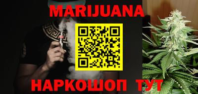 спиды Гай