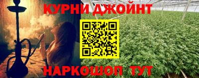 спиды Гай