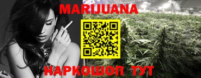 кокс Гатчина