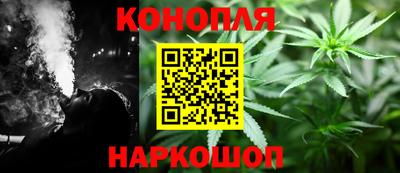 кокс Гатчина