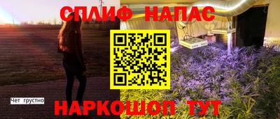 соль ск Гагарин