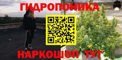 соль ск Гагарин