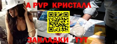 кокс Гатчина