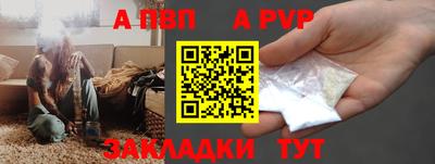 спиды Гай