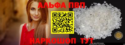 спиды Гай