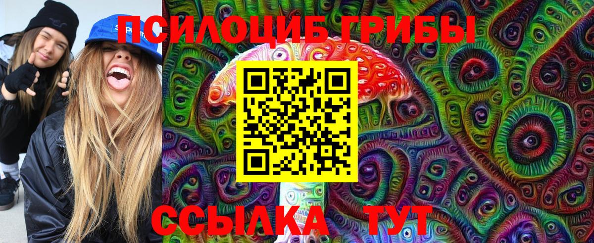 Псилоцибиновые грибы Cubensis Ангарск