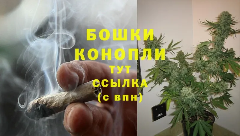 Бошки марихуана OG Kush  Ангарск 